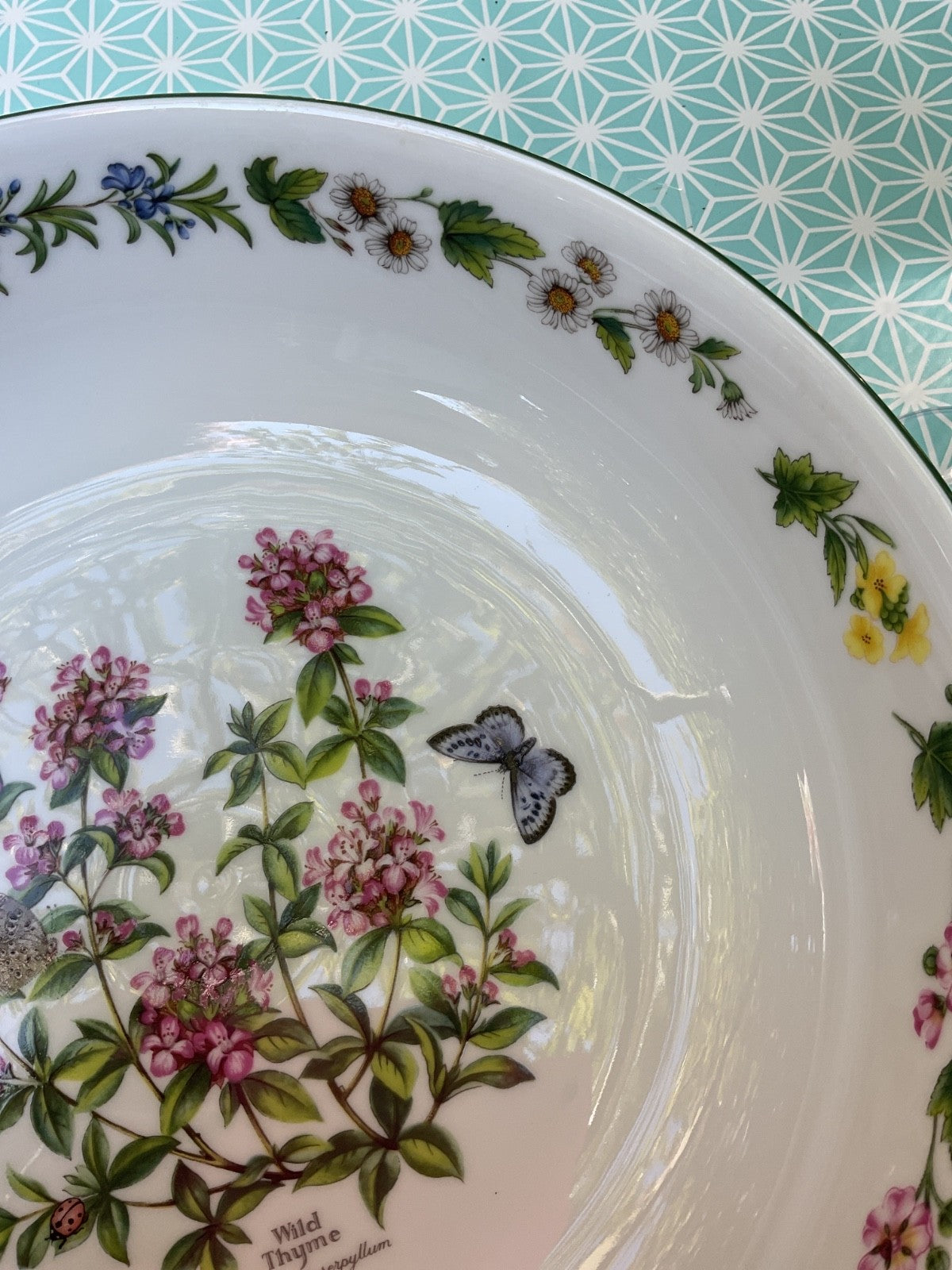 Royal Worcester Herbs Large Serving Bowl – Wild Thyme