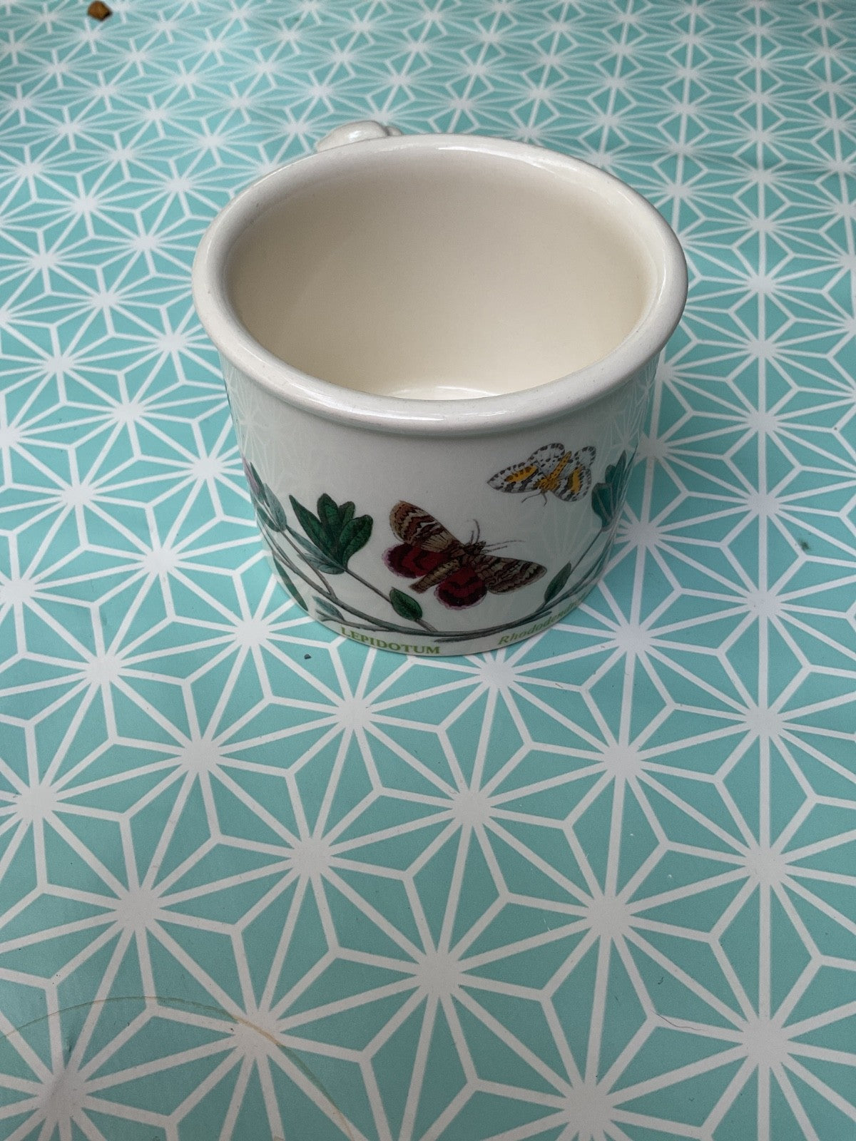 Portmeirion Botanic Garden Mug (Rhododendron lepidotum)