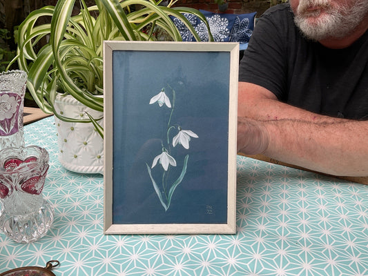 Framed Botanical Watercolour – Snowdrops, Signed 1972
